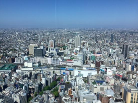 Punto panoramico The Sunshine 60 Observatory